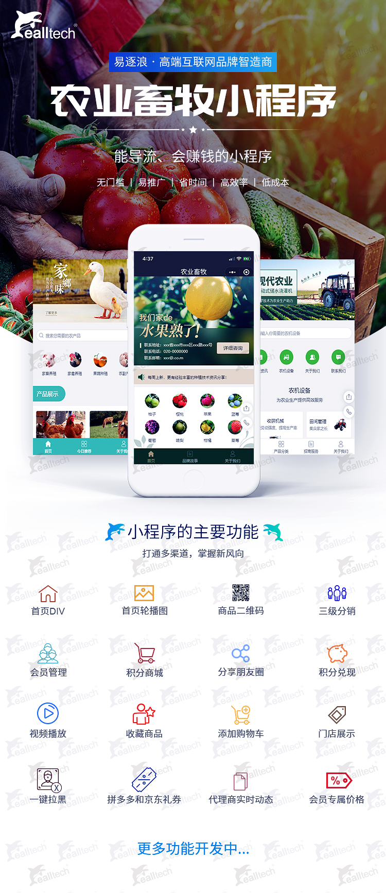 d91ae3d70cc6d3ce2388b308252e1151.jpg