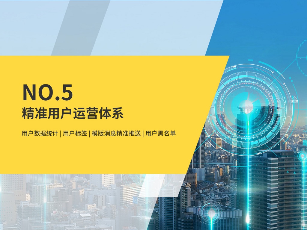 微信服务定制, 小程序定制, 电商零售, 小程序商城, 会员制商城, 分销商城, 拼团商城