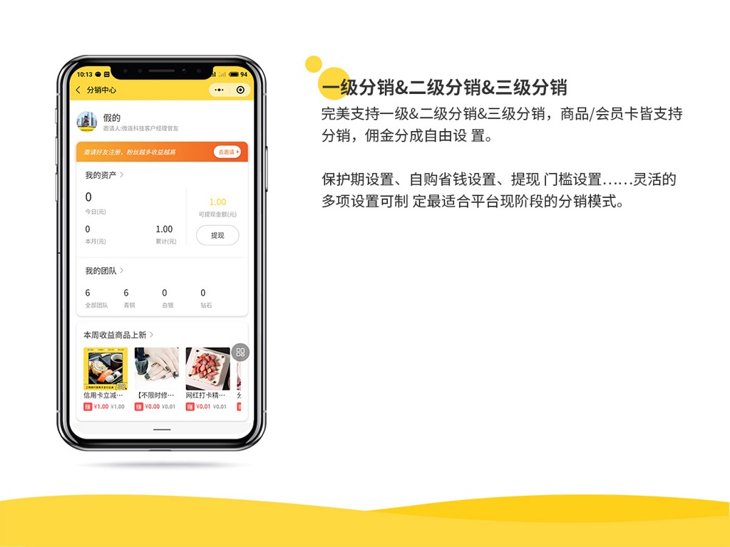 微信服务定制, 小程序定制, 电商零售, 小程序商城, 会员制商城, 分销商城, 拼团商城