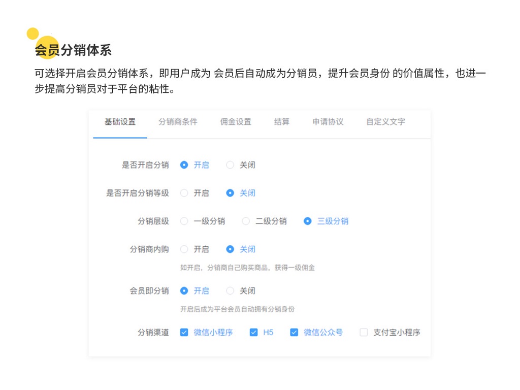 微信服务定制, 小程序定制, 电商零售, 小程序商城, 会员制商城, 分销商城, 拼团商城