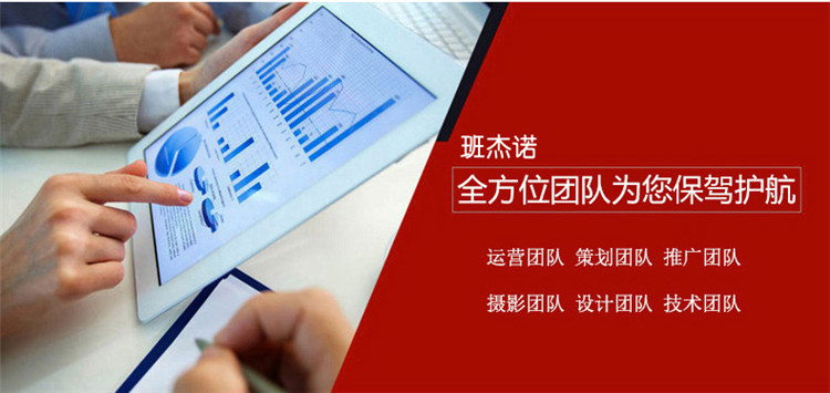 网站服务, 网站服务, 互动小游戏, 互动营销, 微信小游戏, 转盘游戏, 投票答题小游戏