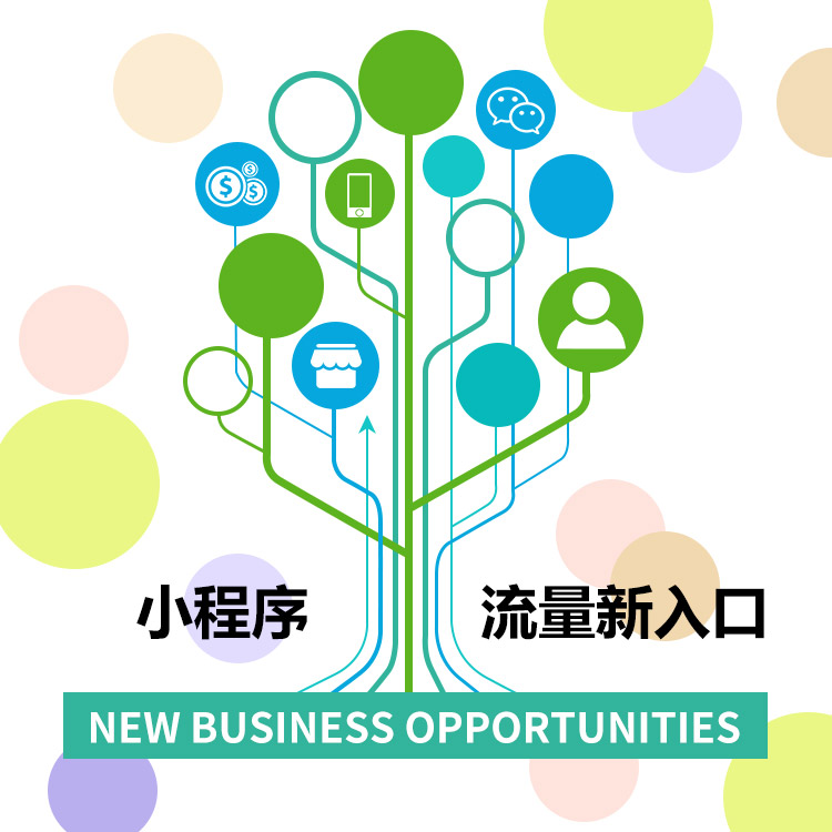 微信服务定制, 小程序定制