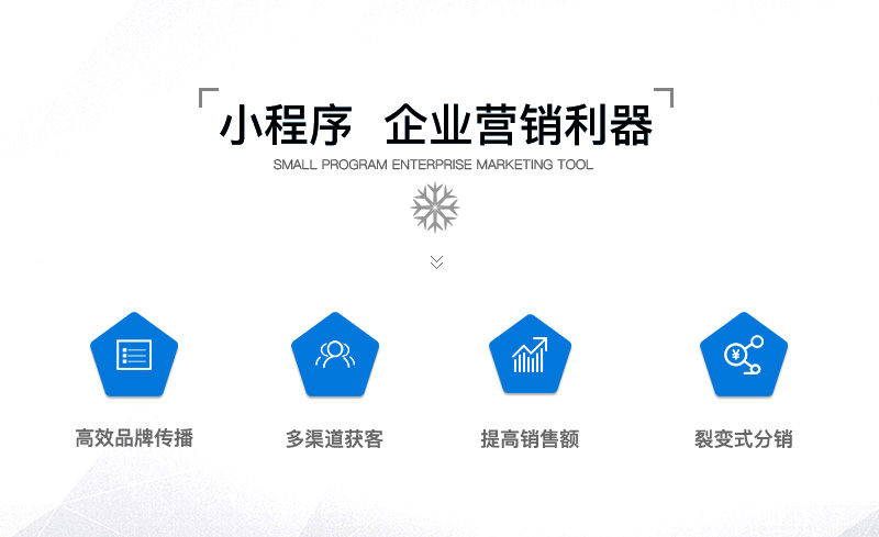 微信服务定制, 小程序定制, 小程序商城, 小程序官网, 电商零售, 企业展示, 生活服务