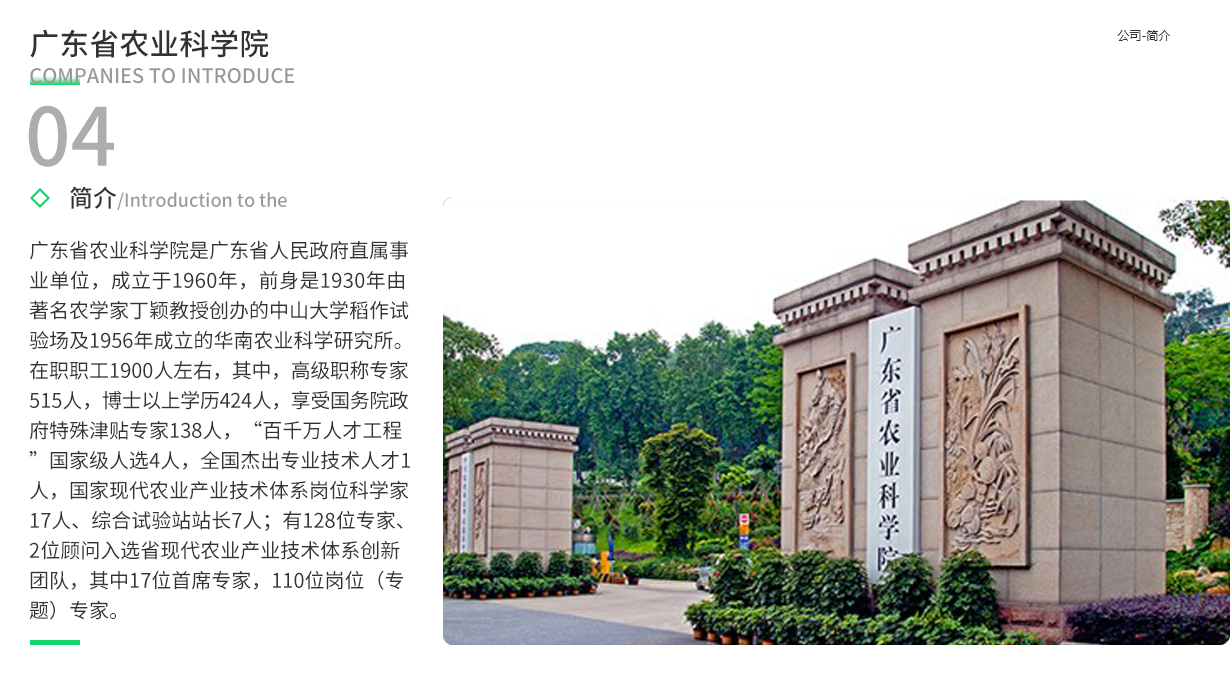 微信服务定制, 小程序定制, 企业展示, 生活服务