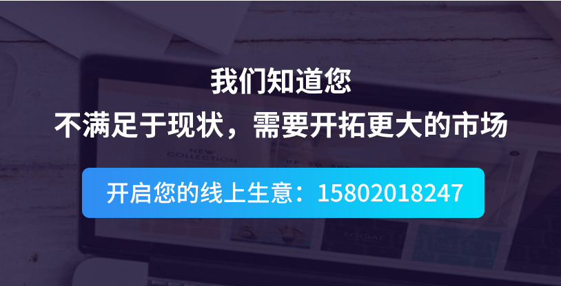 网站建设, 电商网站, B2C商城, 分销商城