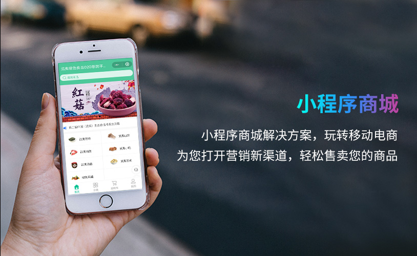 小程序, 电商/零售, 电商, 零售, 多门店, 拼团