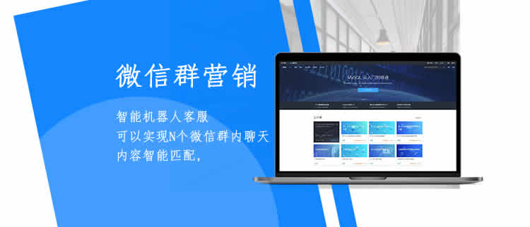 网站定制, 网站定制, 企业展示, 电商系统, 信息门户, 其他网站定制