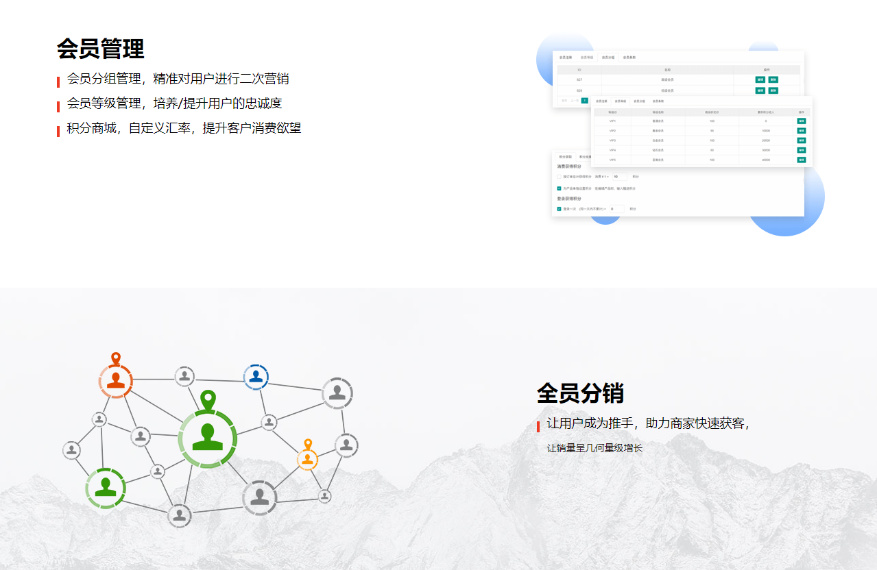 网站定制, 网站定制, 商城网站, 电商系统, 电商网站, 多功能网站, 智能商城站