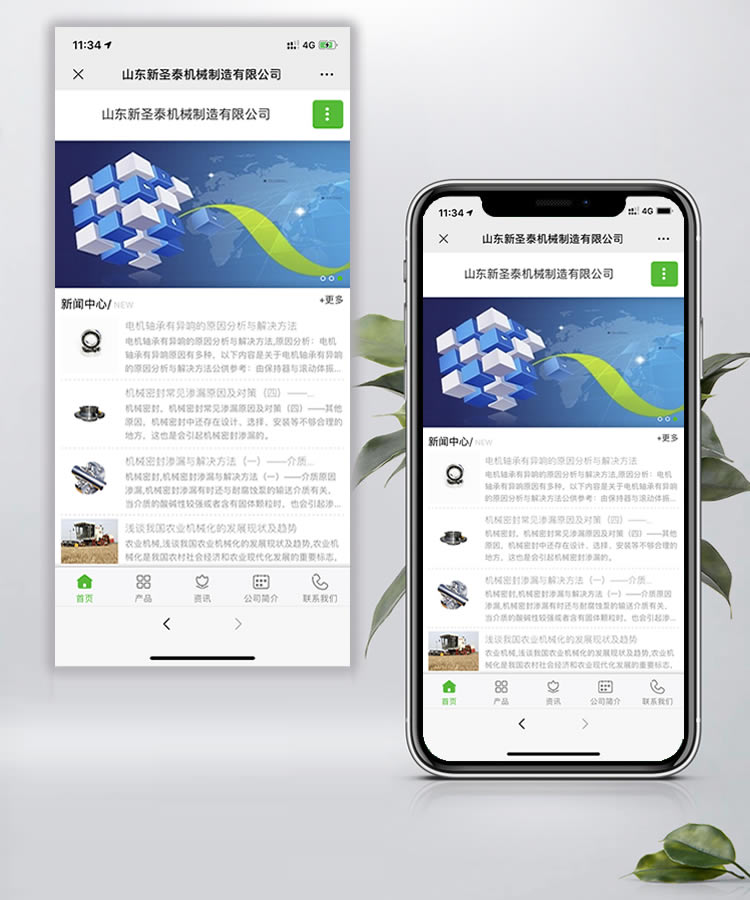 网站定制, 网站定制, 企业展示, 电商系统, 信息门户, 其他网站定制, 社区论坛