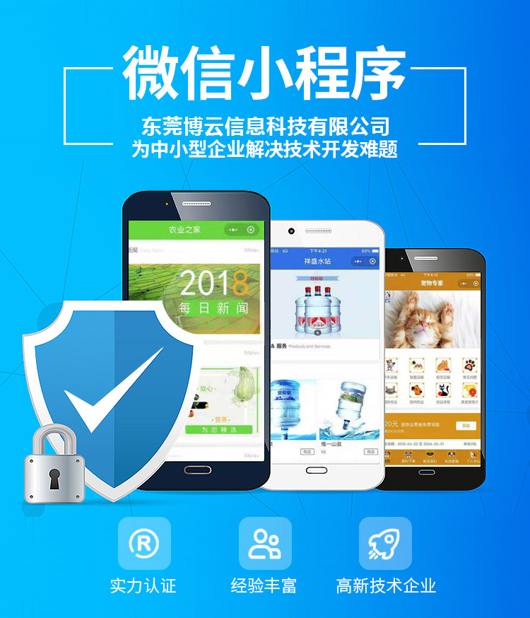 小程序, 电商/零售