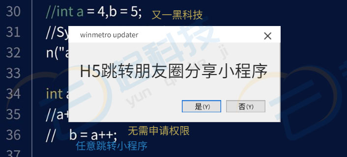 微信服务定制, 小程序定制
