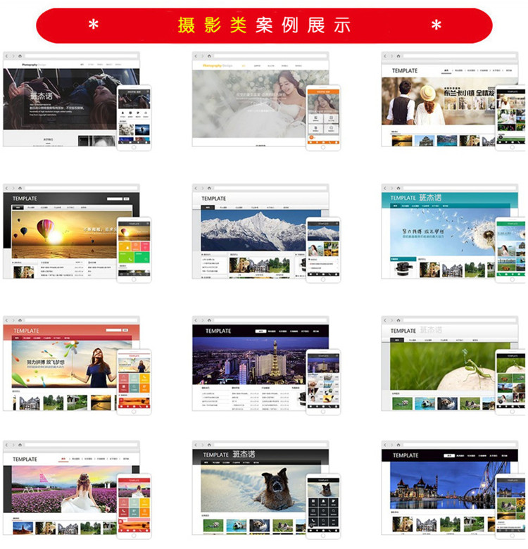 网站定制, 网站定制, 企业展示, 电商系统, 其他网站定制, 摄影入驻分销商城, 摄影小程序