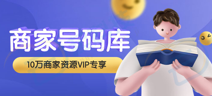 微信服务定制, 小程序定制