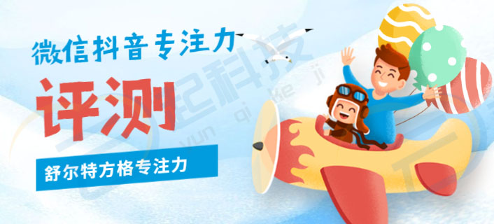 微信服务定制, 小程序定制
