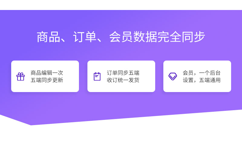 网站定制, 网站定制, B2C商城, 购物商城