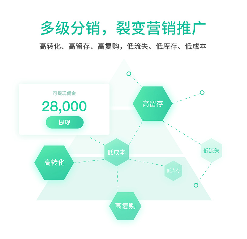 网站建设, 电商网站, B2C商城, 多商户商城, 分销商城