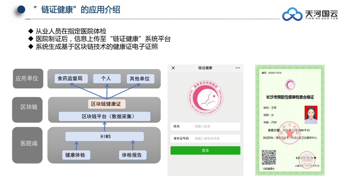 应用开发, 应用开发