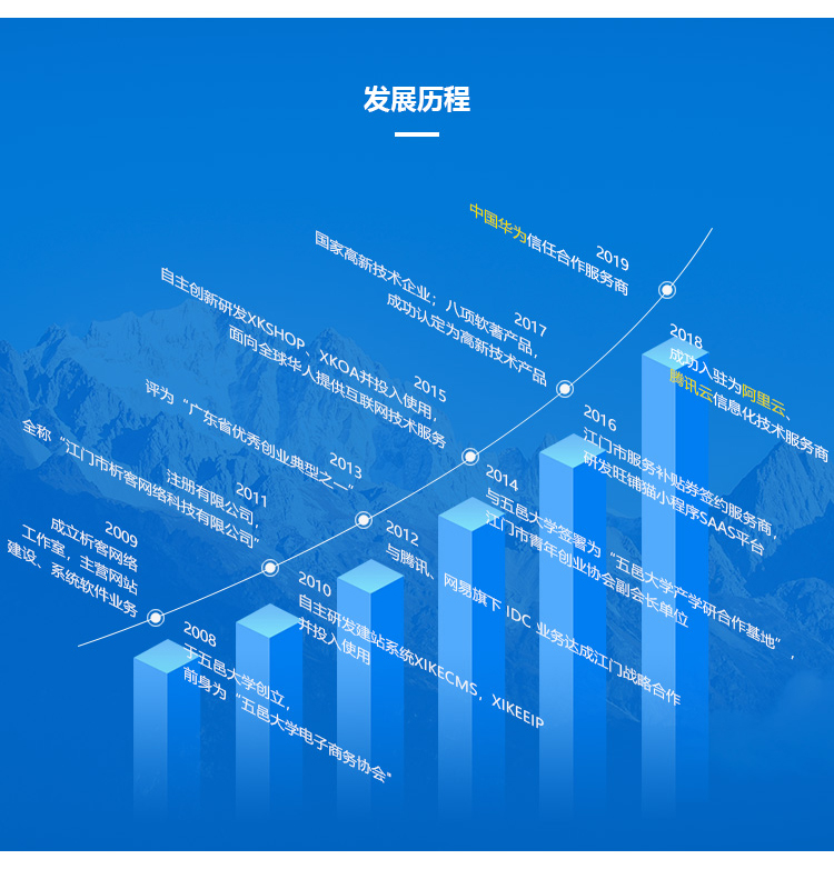 网站定制, 网站定制, 其他网站定制