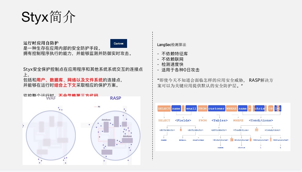 应用安全, 应用安全, 实时安全, 应用自保护, owasptop20, 0day防护技术, 软件成分安全分析开源模块安全自动防护