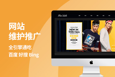 bing权重查询=权重查询是什么意思