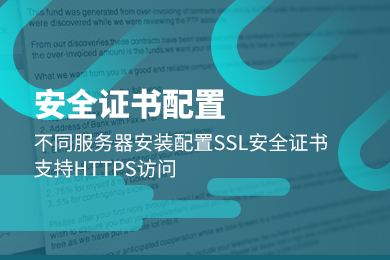 DigiCert GeoTrust RapidSSL SSL证书申请