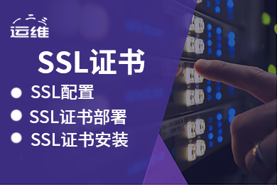 https证书代维配置服务(网站和小程序等都适用)https ssl 网站加密证书长期 CA证书 证书安装 证书配置 一站服务